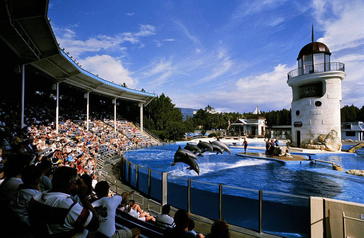 奥兰多海洋世界(sea world orlando)是仅次于圣地亚哥(seaworld