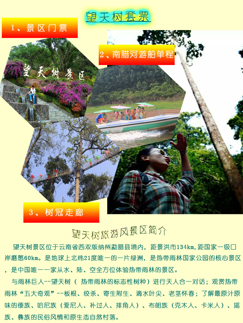 望天树景区套票优惠(含盖门票 树冠走廊或玻璃廊桥 单程南措河游船/一