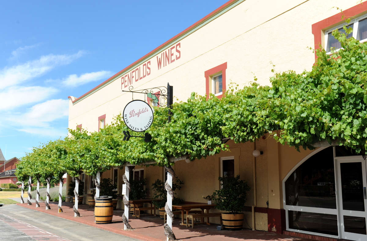 阿德莱德巴罗莎奔富酒庄亲调葡萄酒品酒之旅专家指导讲解