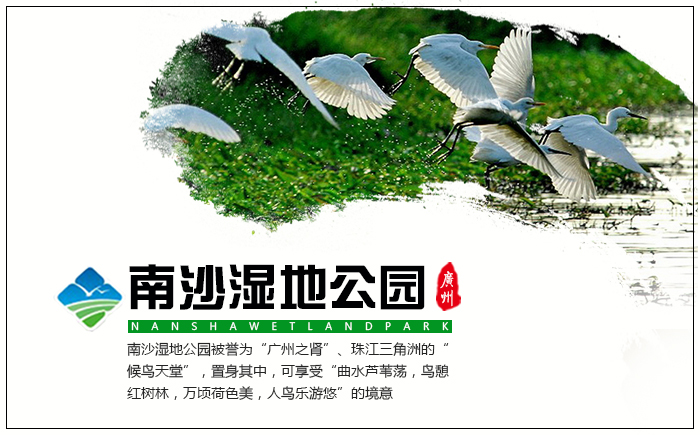 南沙湿地广州南沙湿地公园门票游船票水鸟世界联票羊城新八景当天可定