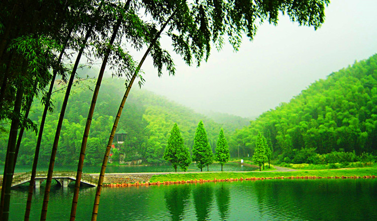 成都/蜀南竹海定制5日游(畅游天府之都 卧虎藏龙拍摄地蜀南竹海)