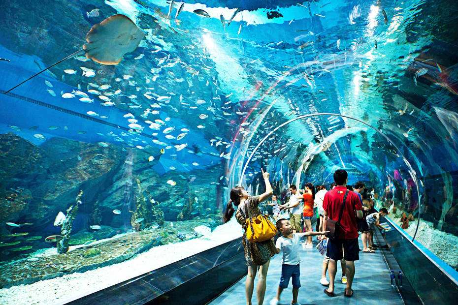 青岛海昌极地海洋世界直连电子门票多套餐可选喂奶鱼海洋主题挂件