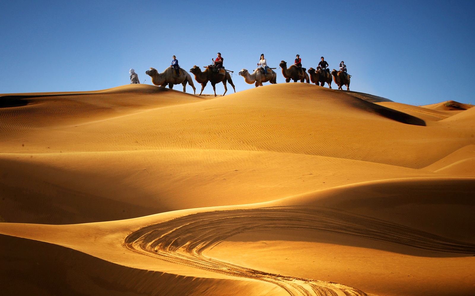 郑州直飞宁夏银川/镇北堡西部影视城/沙坡头/沙湖/双飞4天3晚跟团游(