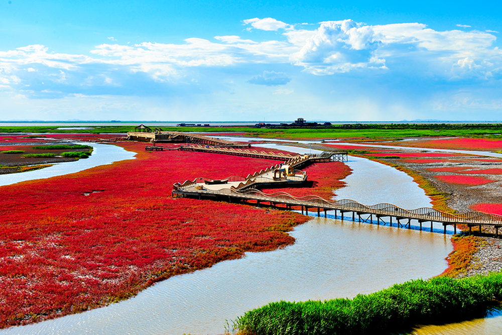 辽宁盘锦 红海滩国家风景廊道门票