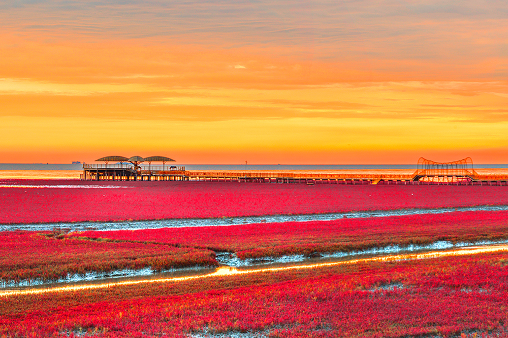 辽宁盘锦 红海滩国家风景廊道门票