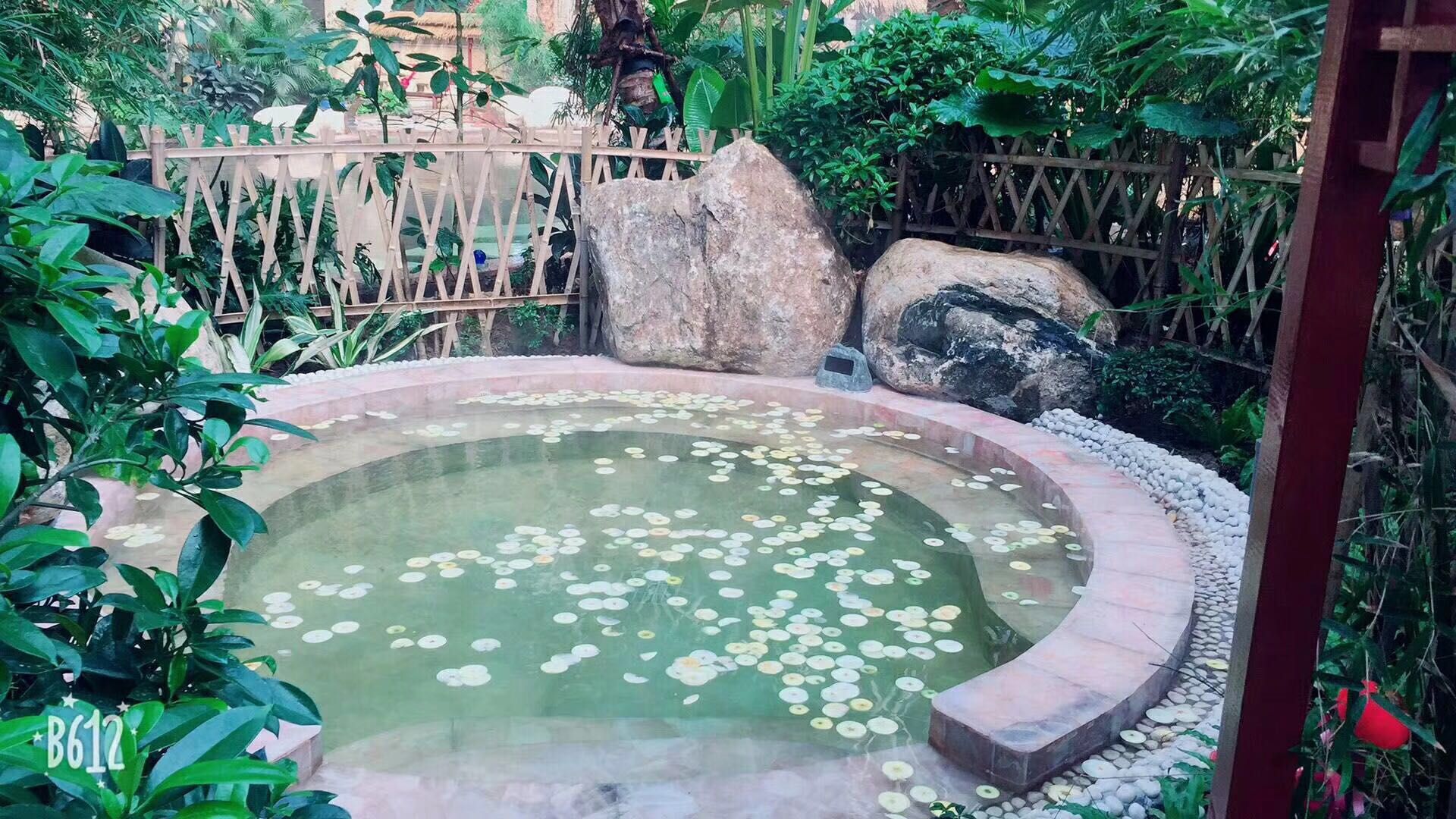 阿尔卡迪亚室内温泉 热带雨林布景.