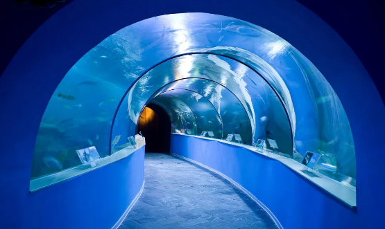 苏州海洋馆一票畅玩太湖边上的海底世界