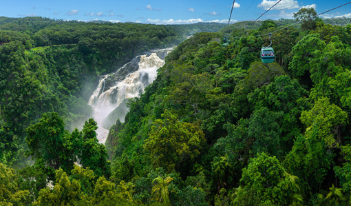 发现远古 — 凯恩斯库兰达skyrail热带雨林观光缆车票