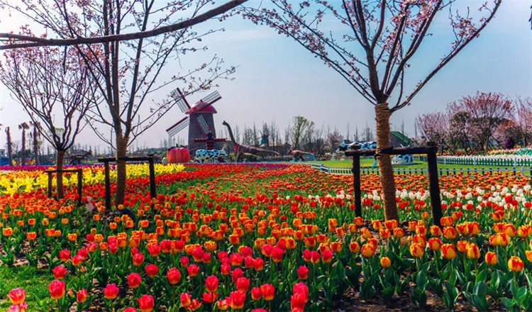 云澜湾·四季花海乐园 电子票 随买随用 无需取票