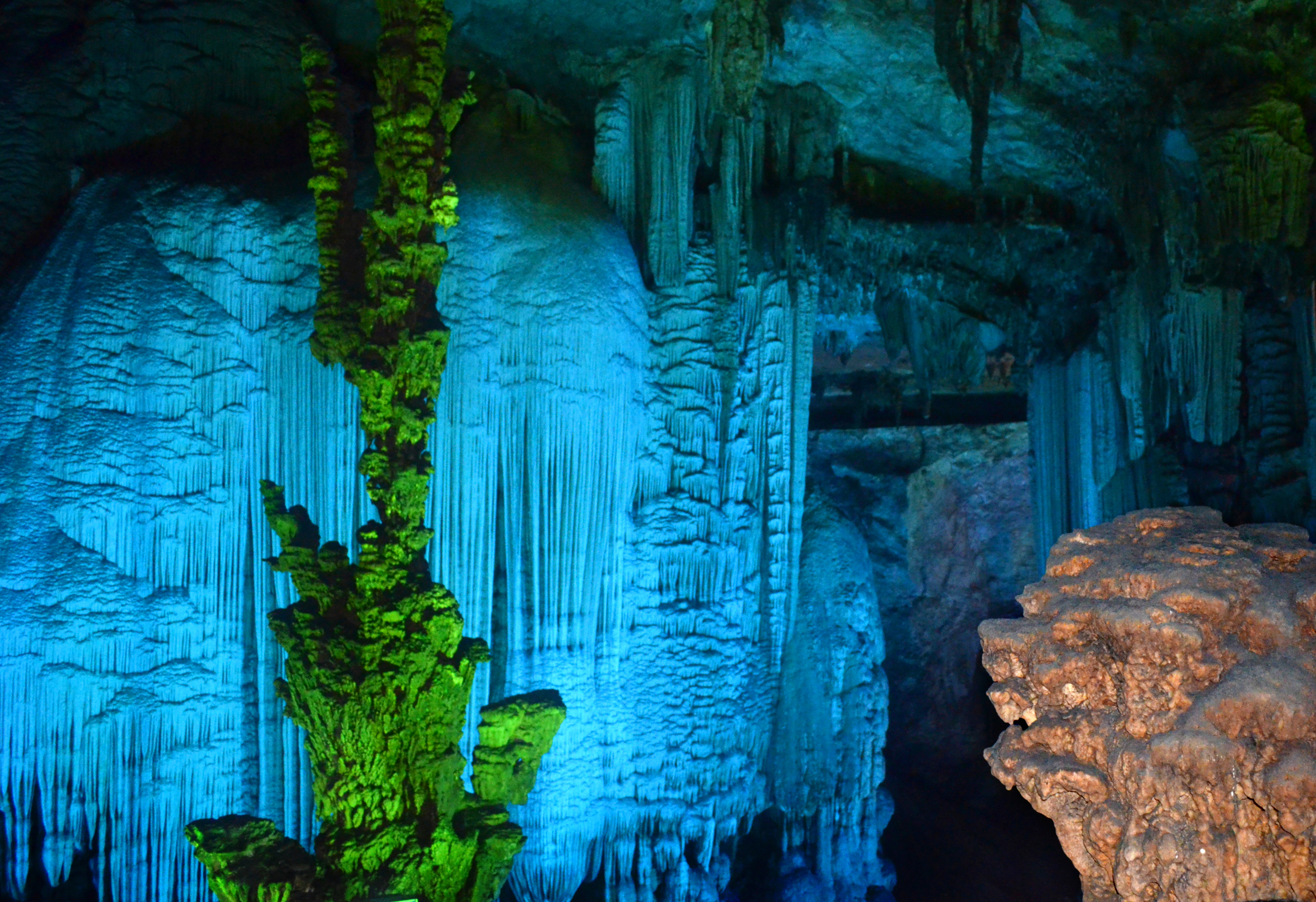 无年龄限制无人数限制升级特色自助餐每天贴心赠送一瓶牛奶一瓶矿泉水