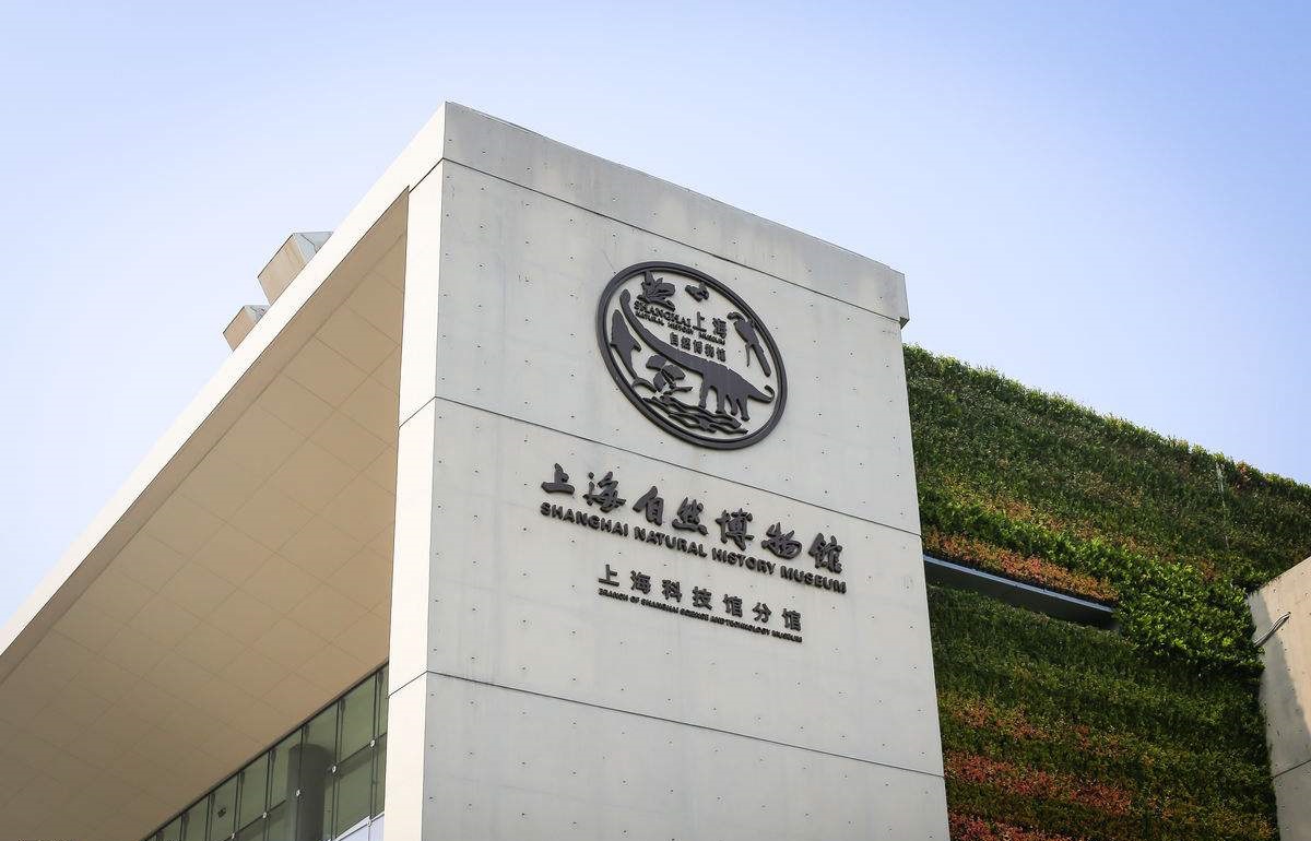 上海自然博物馆,马蜂窝自由行 - 马蜂窝自由行