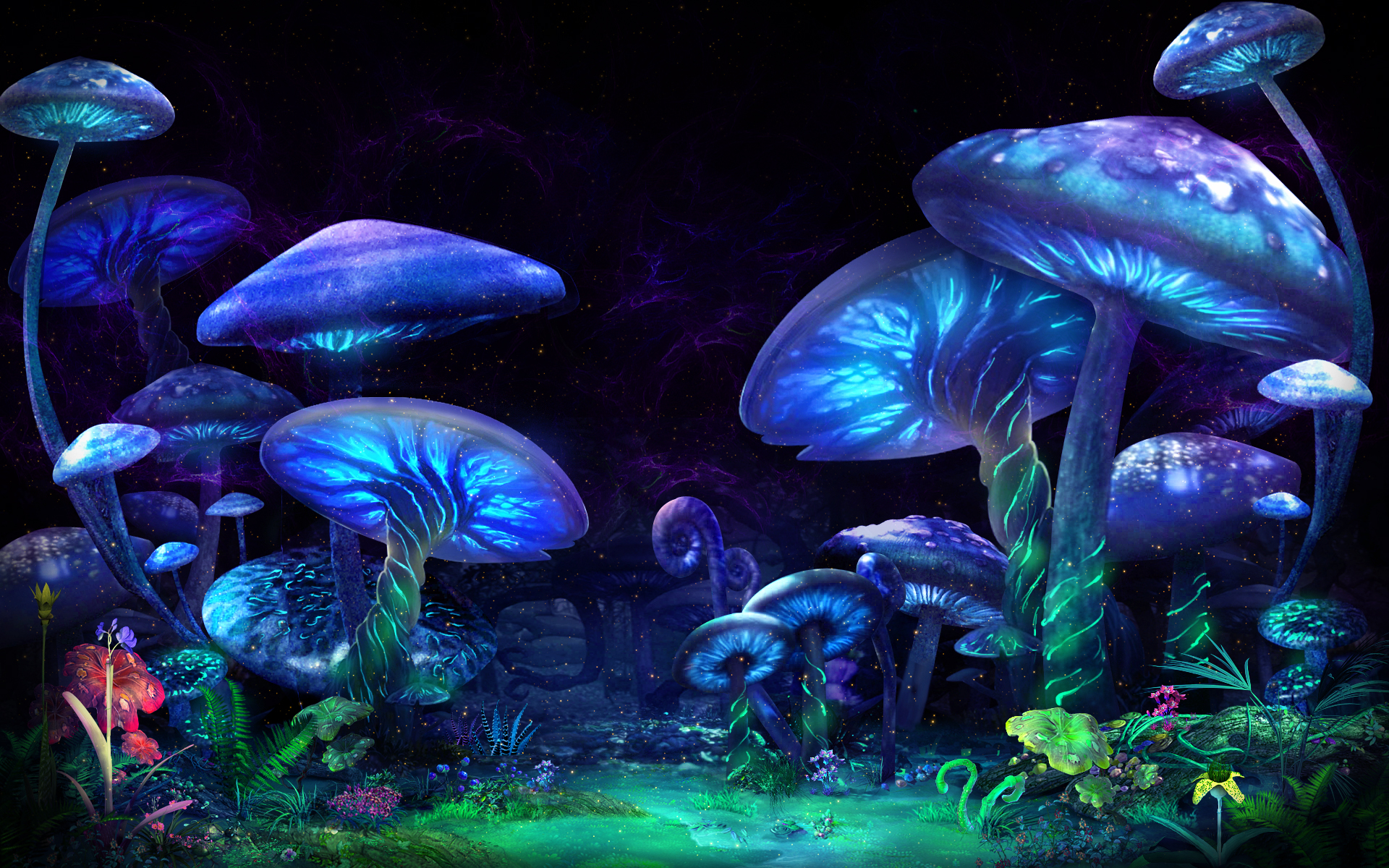 沉浸式儿童体验3d游戏剧爱丽丝梦游仙境