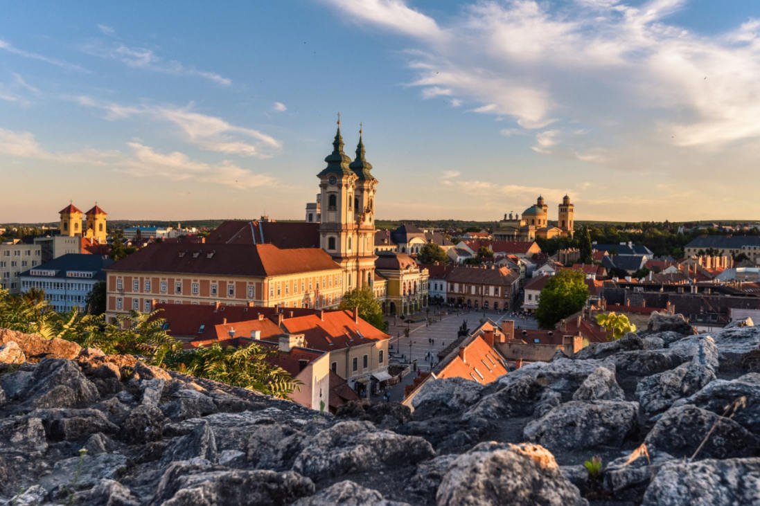 在米什科尔茨的潘农海洋博物馆里,珍藏着来自7百万年前的古老沼泽柏