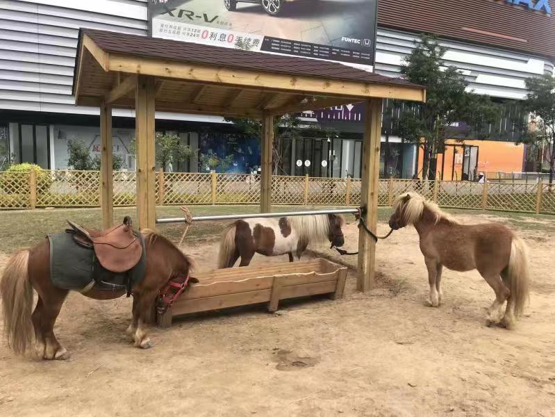 北京萌宠亲子动物乐园丰台槐房万达店 亲子电子门票(售票处兑换入园