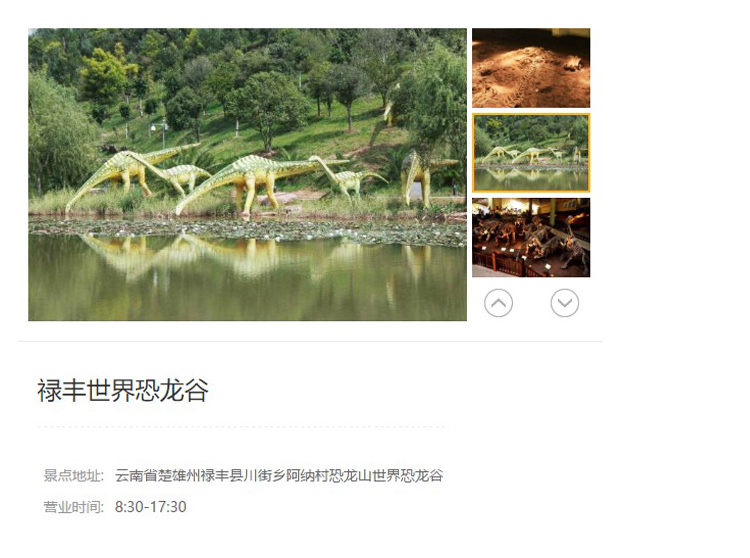 云南楚雄禄丰世界恐龙谷门票刷码入园方便快捷