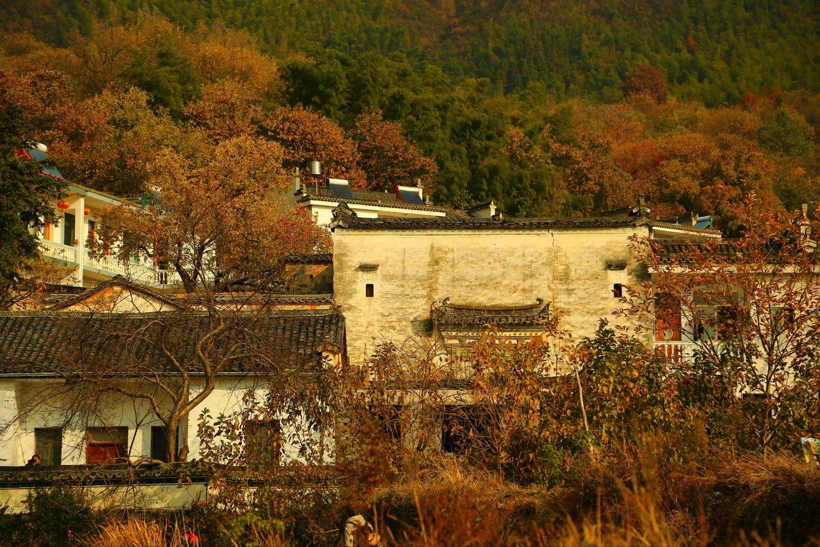 黄山黟县塔川景区门票随时可订入园便捷未取票可退联票可选