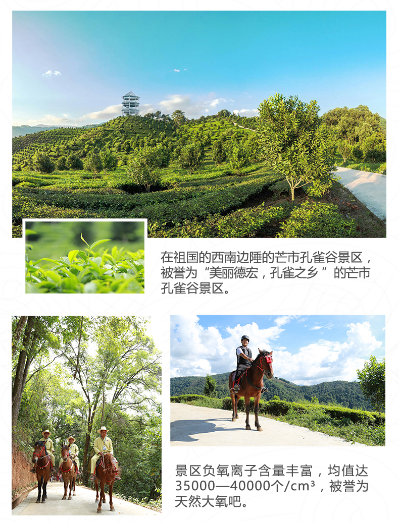 芒市孔雀谷森林公园门票