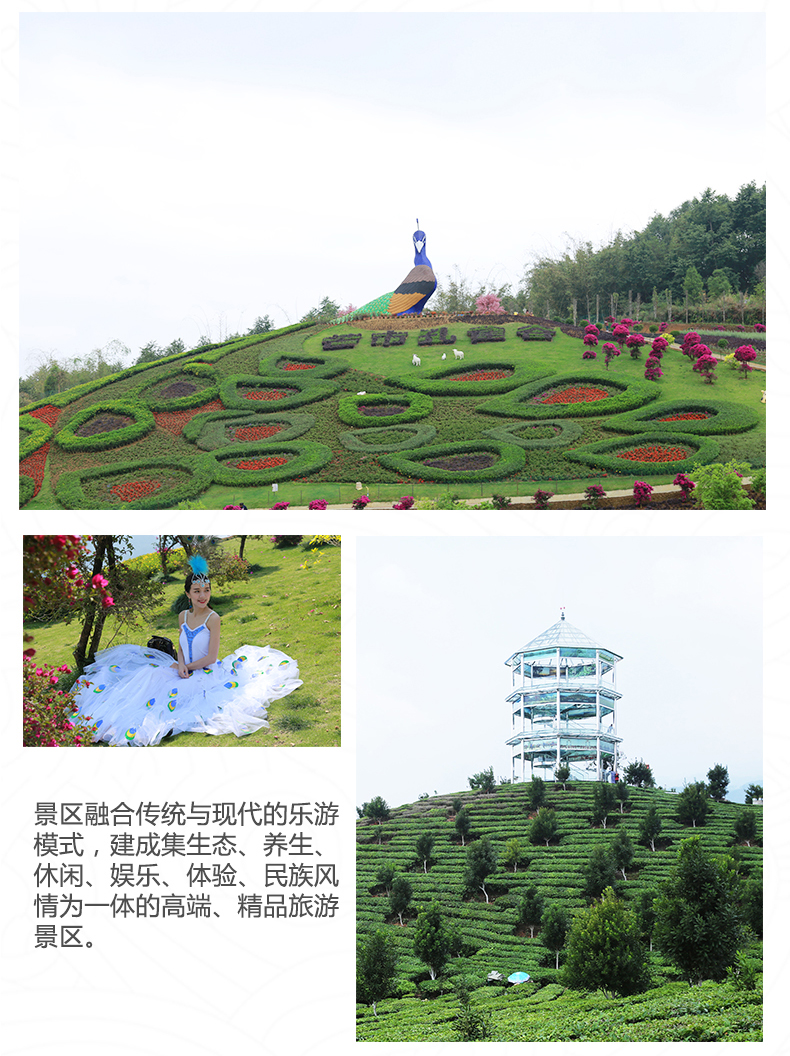 芒市孔雀谷森林公园门票