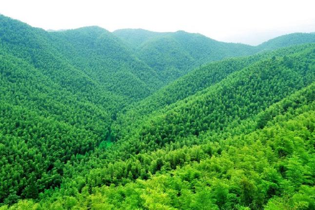 中国大竹海景区电子票