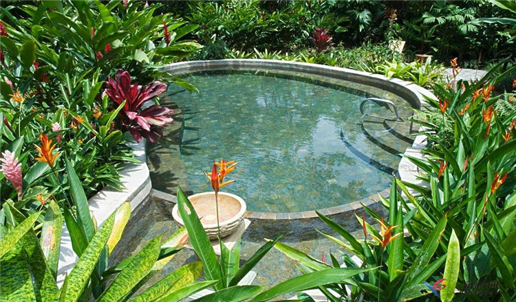 郑州香堤湾温泉门票冬季养生药浴温泉补充体内微元素排毒养颜