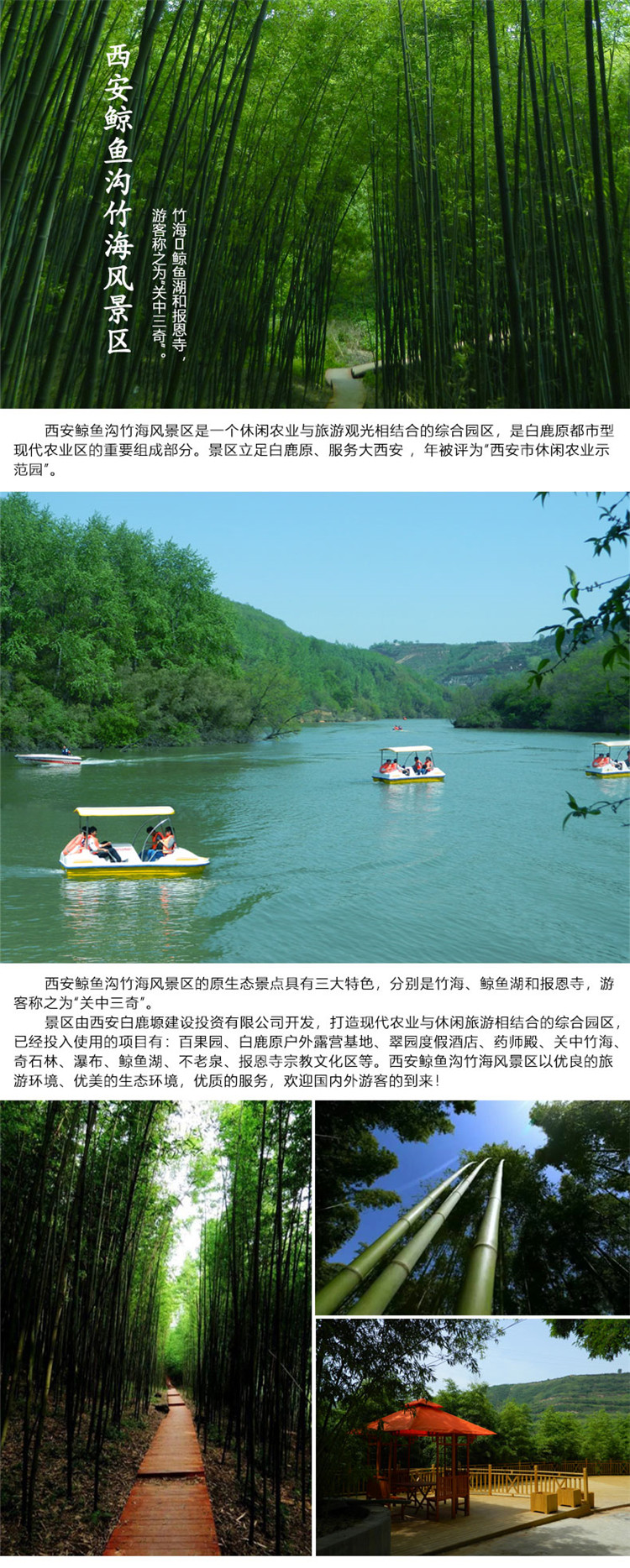 西安鲸鱼沟竹海风景区