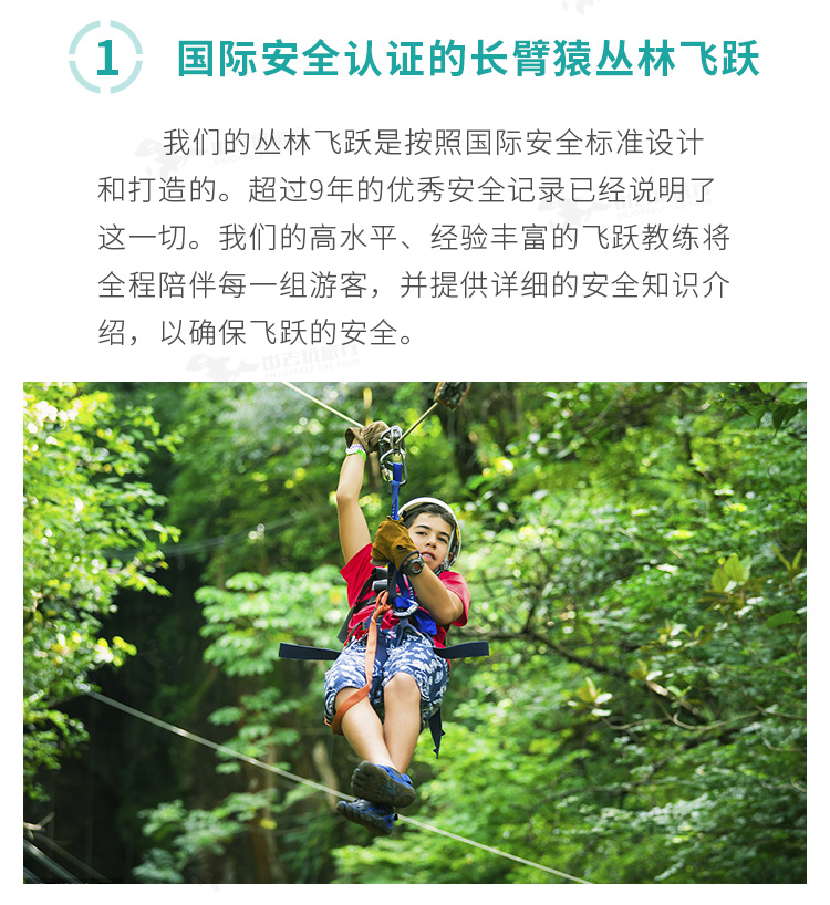 泰国芭提雅长臂猿丛林飞跃豪华接送安全有保障多场次可选