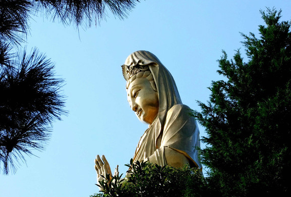 普陀山祈福一日游c线(8点发班 直达码头 赠送晚餐 观音自在院 第2大