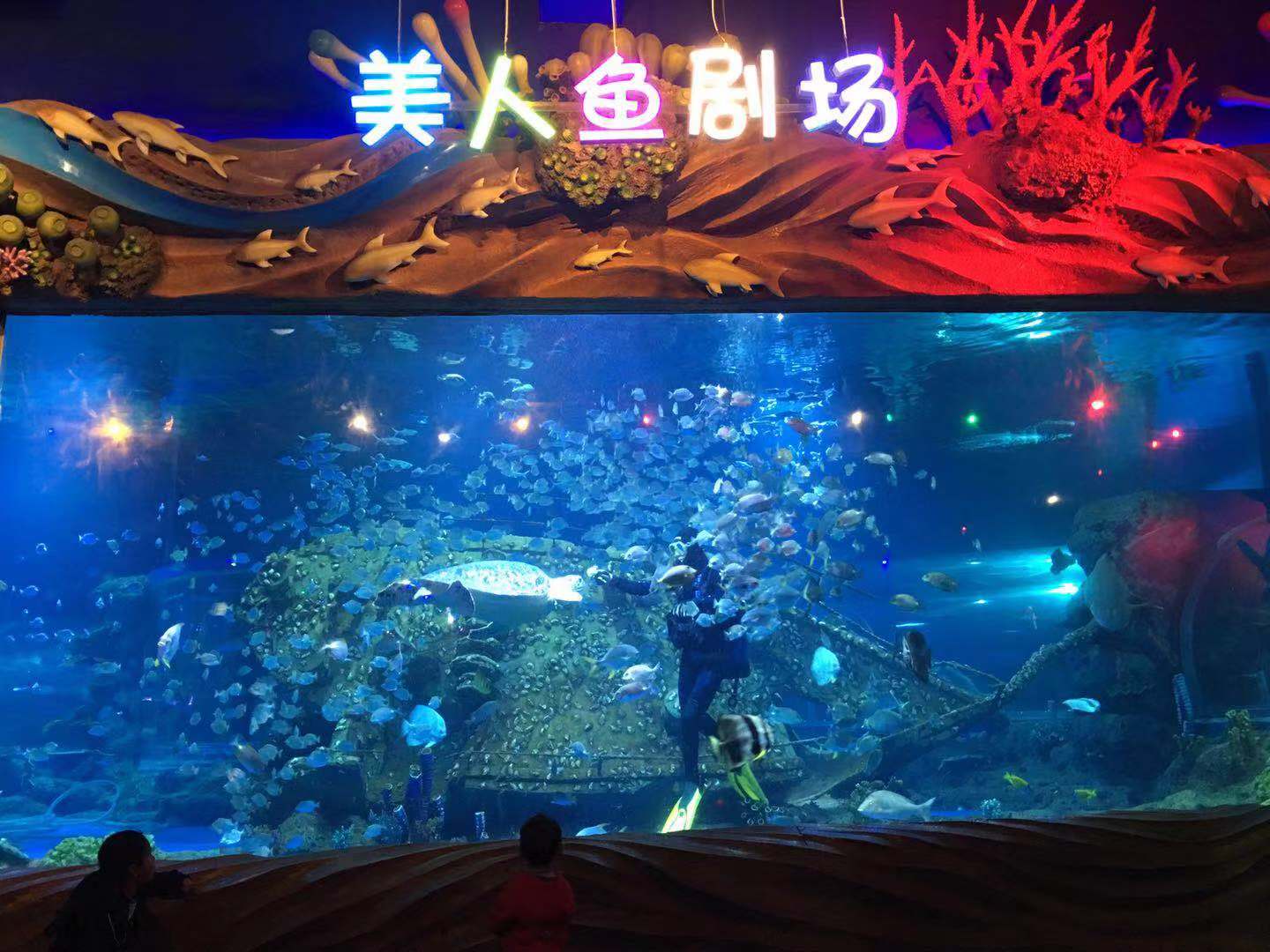 西安太奥幻太奇海洋馆门票