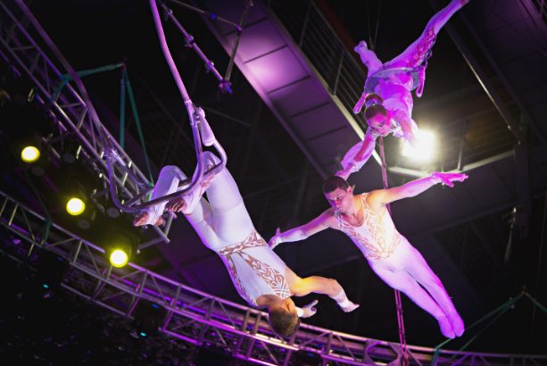 厦门灵玲国际马戏城门票动物王国灵玲马戏团演出套票