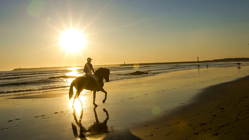 之旅(免签 越野车 全程入住当地五星级酒店 海边骑马 一天自由活动)