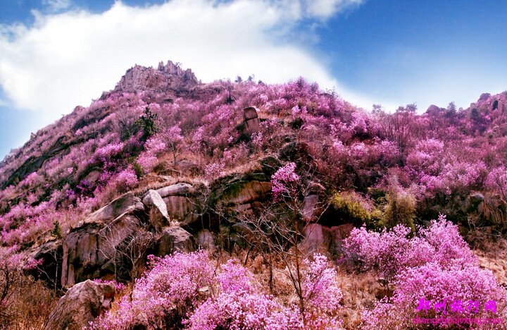 青岛大珠山风景区电子门票u