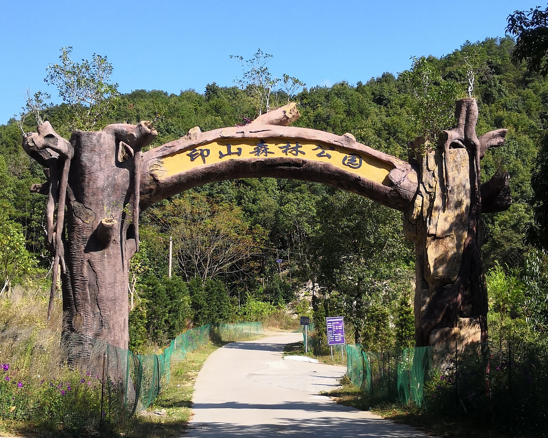南安印山森林酒店(天然氧吧/国家康养基地),马蜂窝自