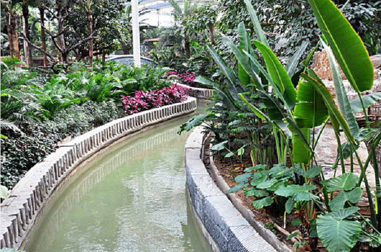 天津龙达温泉生态城温泉门票室内雨林温泉度假景区