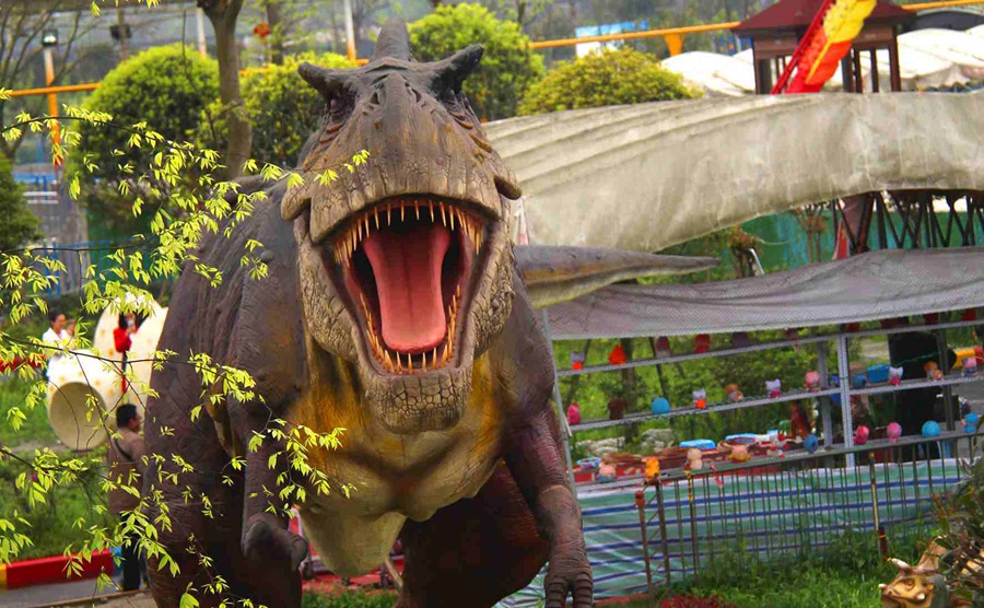 去蜀国鹃都除看杜鹃花之外,还能去景区游乐园耍耍.