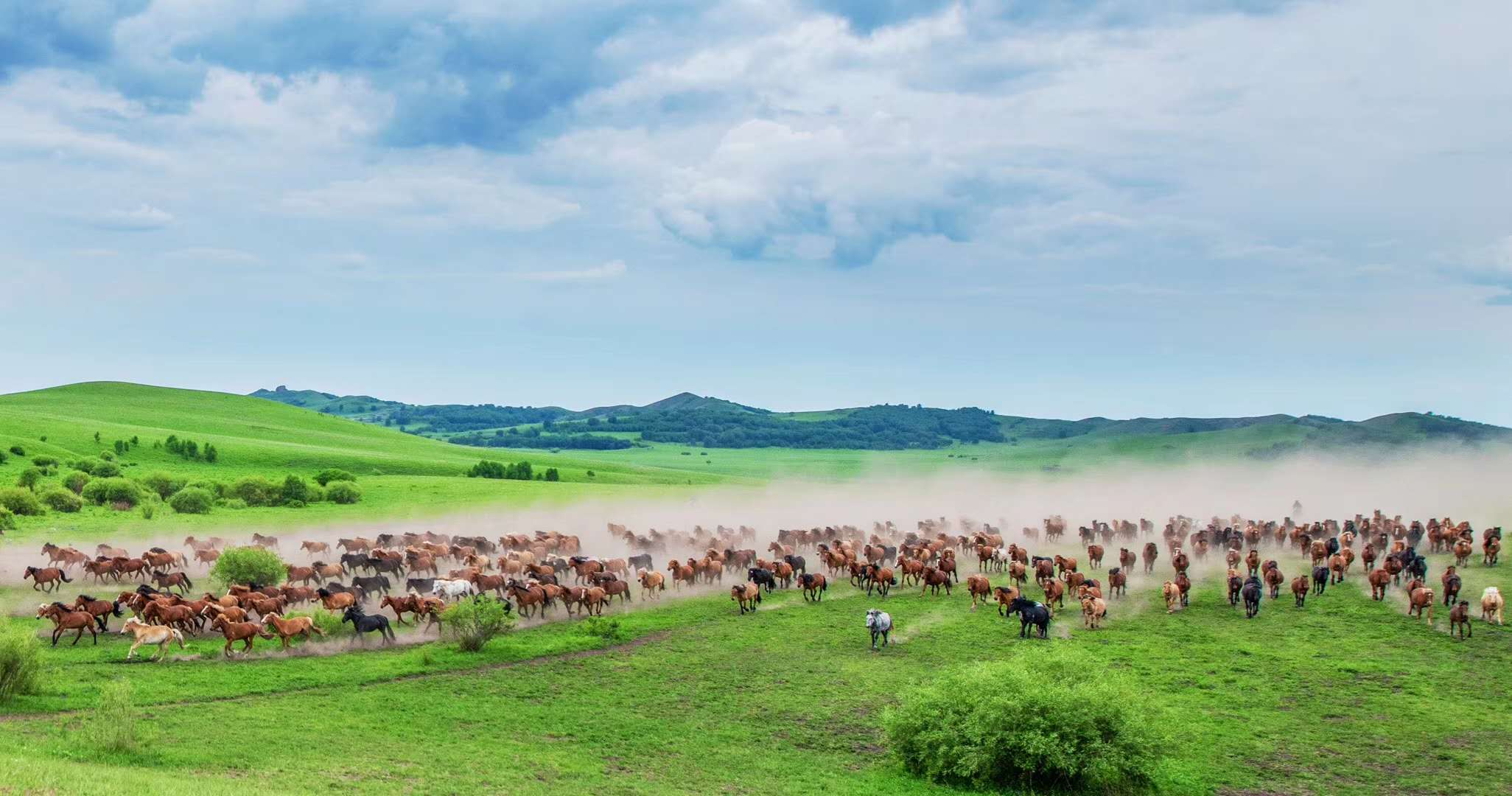 内蒙古呼和浩特-草原沙漠-北京高铁往返3日私家团(一单一团 辉腾锡勒