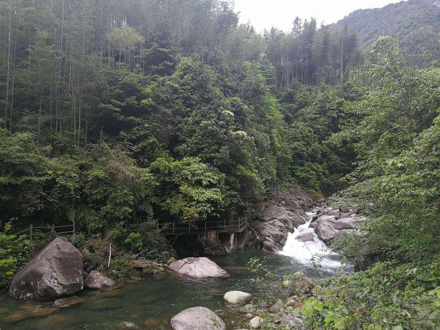 猫儿山因主峰峰顶形似一只匍匐的巨猫而得名.主峰海拔2141.