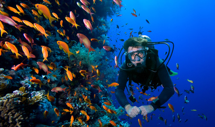 美丽海岛马来西亚热浪岛水肺潜水一日游4次海底畅游深潜可同朋友分享