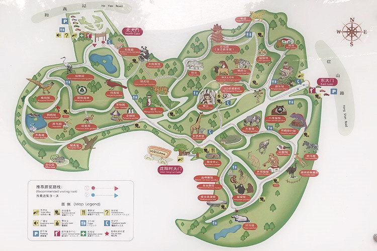 红山森林动物园爸爸溜娃节 电子成人票 最迟提前一天预定