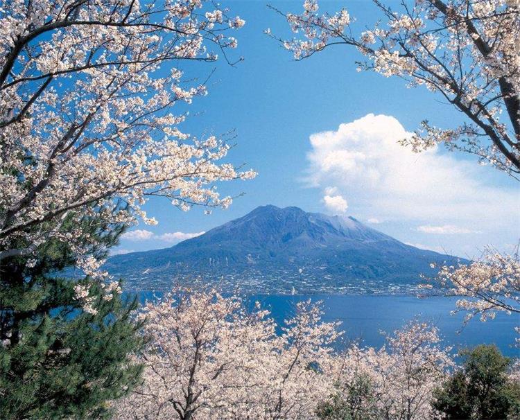 日本九州熊本 别府 汤布院 福冈5日游私家团 4人成团 全程四星酒店可升级 赏枫名所金鳞湖 富士山阿苏火山 宫崎骏童话街道 福冈自由行 马蜂窝自由行