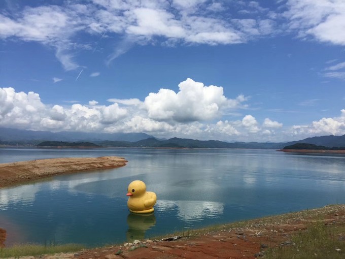 白廊东江湖凤凰岛景区成人门票套票(含往返上岛船票 岛上野生动物门票