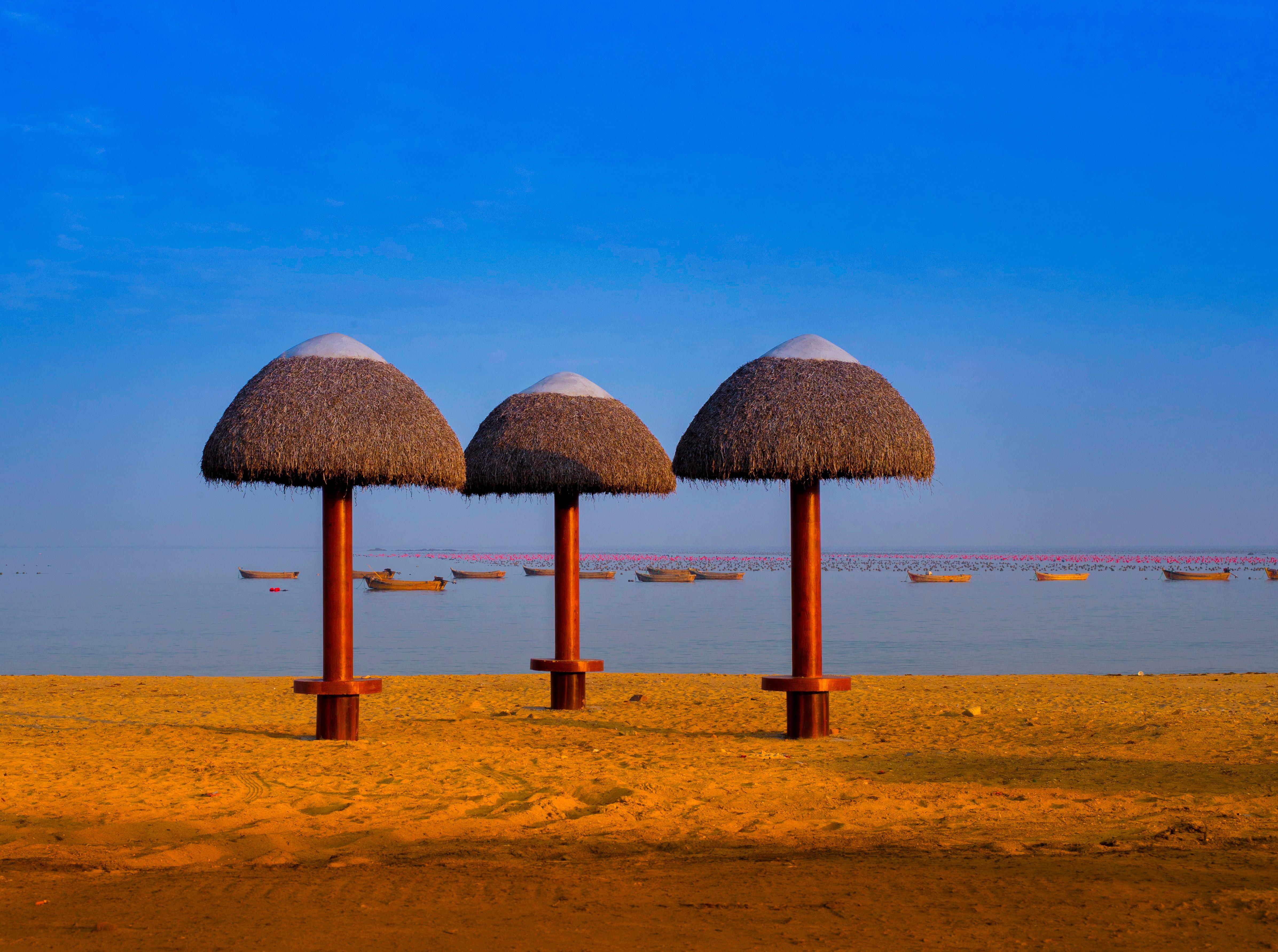 东褚岛风景区电子票东褚岛风景区欢迎您即买即用未用可退