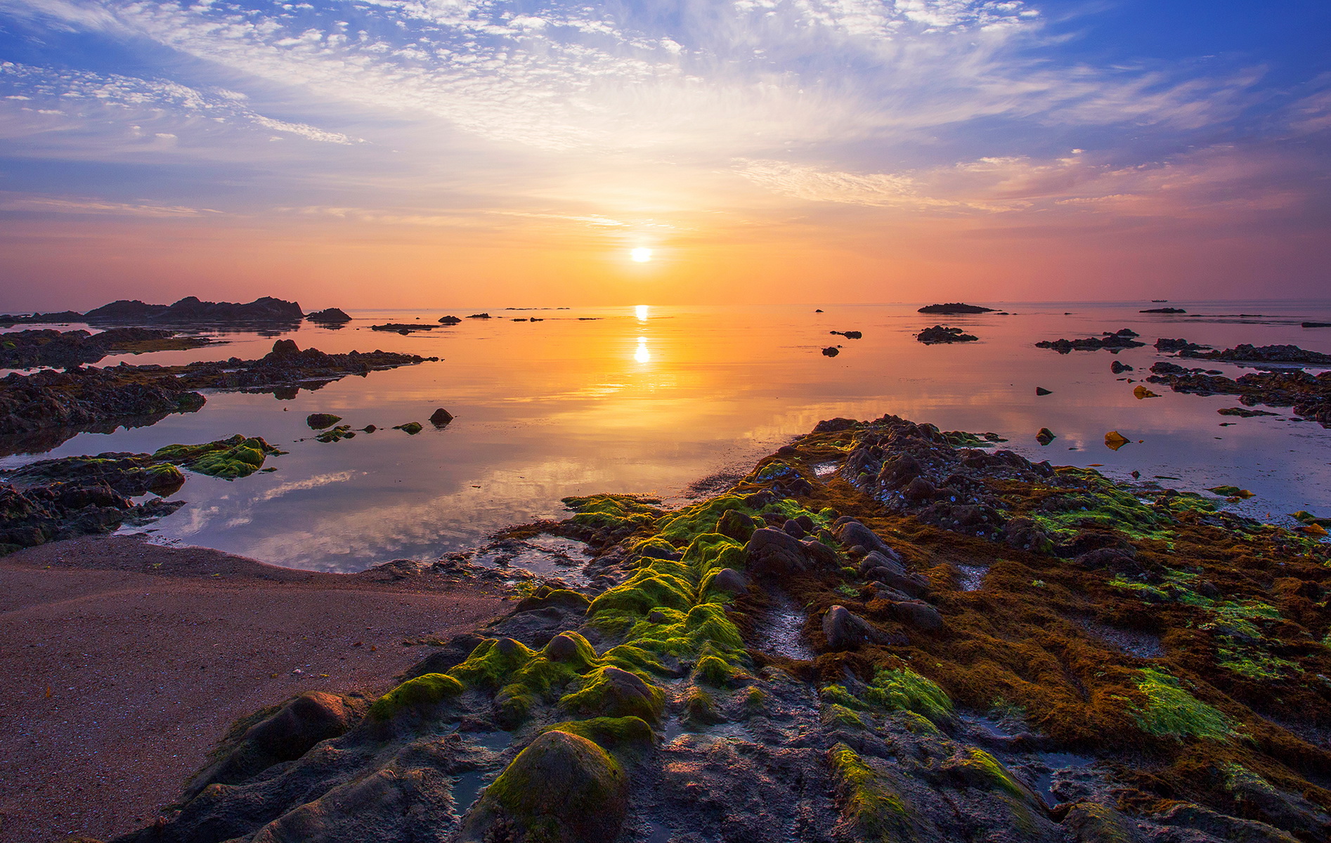 东褚岛风景区电子票东褚岛风景区欢迎您即买即用未用可退