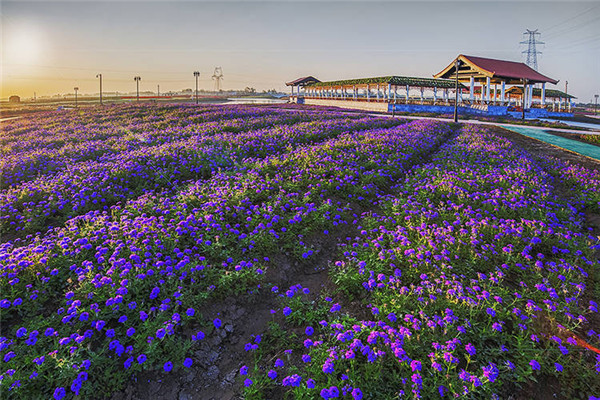 伊甸园景区电子票/伊甸园景区欢迎您(下单1小时后方可使用/未用可退)