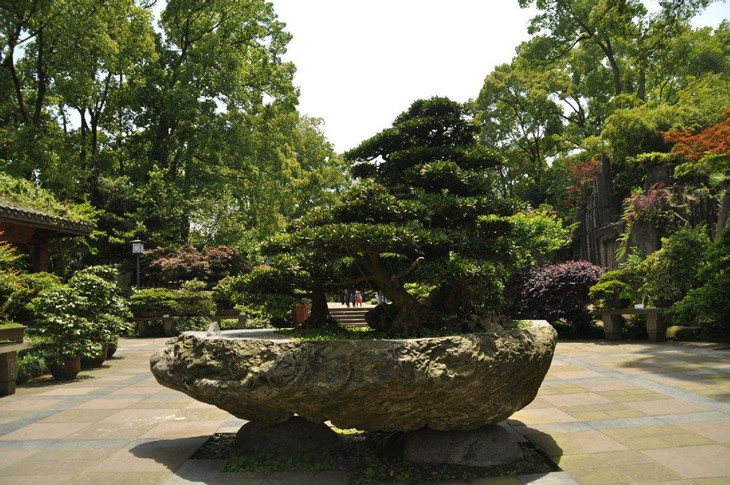 盆景园:盆景园位于重庆南山植物园中心区,是南山植物园十六个专类园之