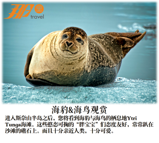 雅未克斯奈山半岛一日游酒店接送看草帽山黑沙滩呆萌海豹海鸟三大渔村