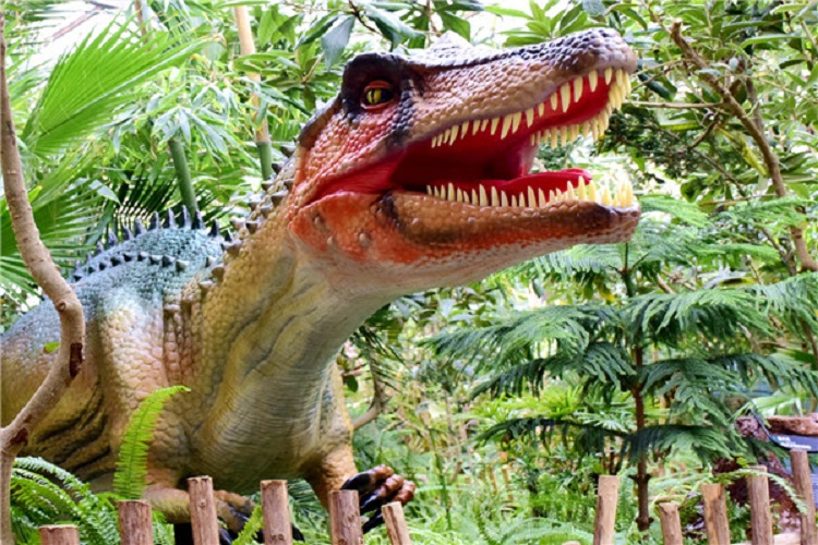 1,呀路古主要景点:热带植物馆,恐龙馆,土司堡民族展览馆,土司吧,孔雀