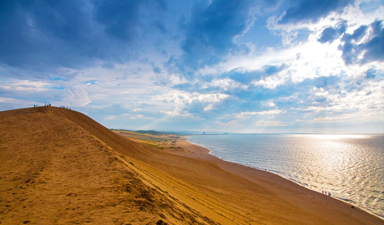 大阪鸟取砂丘一日游鸟取砂丘采梨子体验浦富海岸巡航砂之美术馆