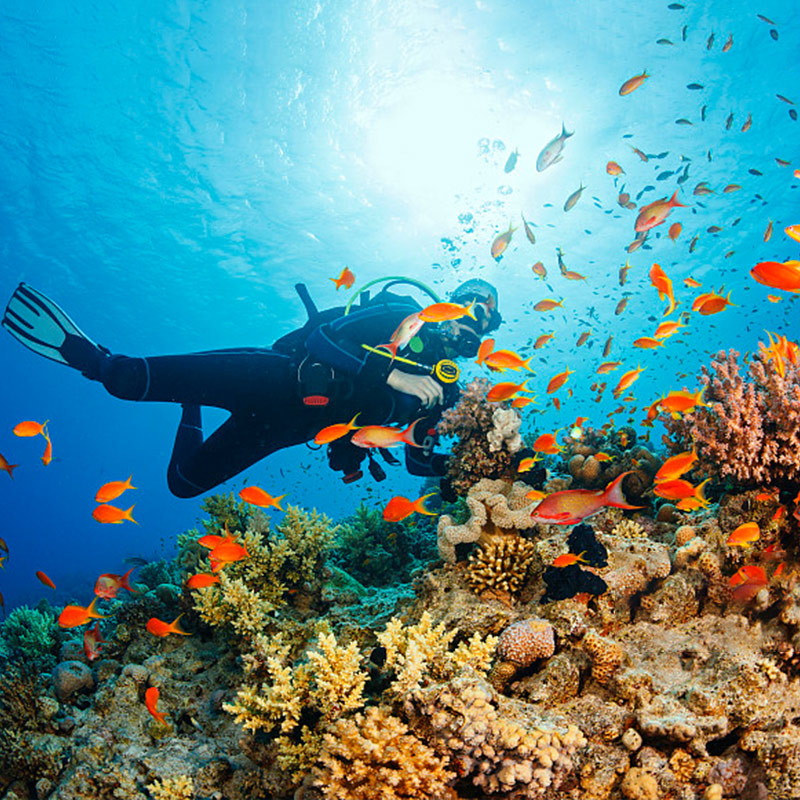 巴厘岛八丹拜潜水浮潜深潜一日游酒店接送午餐中英文专业教练