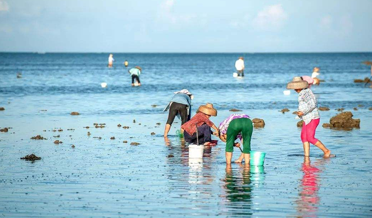 厦门滩涂赶海抓螃蟹一日游含25元赶海工具五缘湾帆船游艇出海可选海鲜