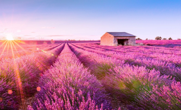 北京出发法国一地10天半自助游普罗旺斯薰衣草花海皇家城堡酒店巴黎